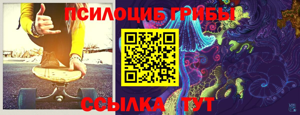 Галлюциногенные грибы Psilocybine cubensis  Вход с VPN  Лыткарино 