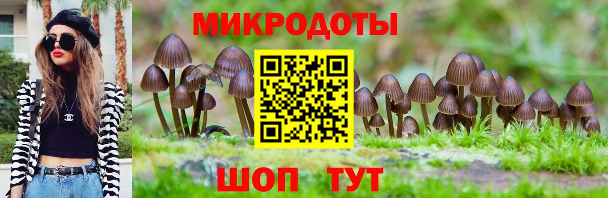 Галлюциногенные грибы Cubensis Лыткарино
